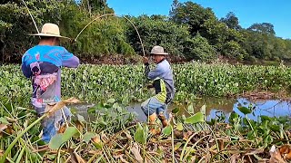 CHEGA SER ASSUSTADOR O TAMANHO DOS PEIXES QUE SAIU NESSA PESCARIA DE TRAÍRA COM VARA DE BAMBU [upl. by Esimehc]