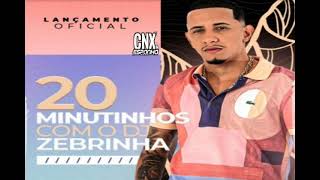 20 MINUTINHOS COM DJ ZEBRINHA   5 MINUTOS DE BONUS [upl. by Annaillil315]