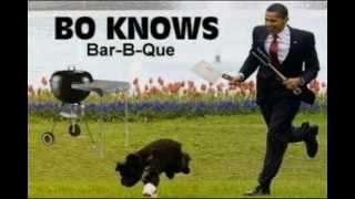 Obama Eats Dogs [upl. by Owades]