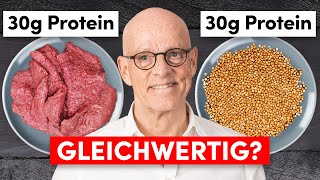 Pflanzliches Protein vs tierisches Protein Das sollten Sie wissen [upl. by Eniamaj]