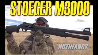 Who Needs a Benelli Stoeger M3000 [upl. by Hiro]