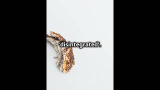 What Does Disintegrate Mean Learn and Use Itgrammarenglishlanguagevocabularyeducationshorts [upl. by Lauter746]