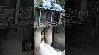 पानी दा रंग shortvideo youtube shortsyoutube youtubeshorts pani weather minivlog masti [upl. by Niak]