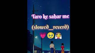 taro ke sahar me 💗 lofi reverd [upl. by Amena733]