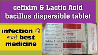 cefixime amp Lactic acid bacillus tablet uses doseworkside effects पूरी जानकारी हिंदी में [upl. by Rot]