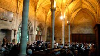 Calvin and Huguenot music at cathedral Noyon on the 500th [upl. by Urissa]