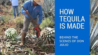 How Tequila Is Made Behind The Scenes of Don Julio Tequila [upl. by Haridan]