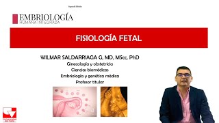 Fisiología fetal Crecimiento Fetal Capítulo 10 Embriología Humana Integrada [upl. by Namie]