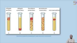 Microbiology and spoilage of canned food P1 [upl. by Halsy]