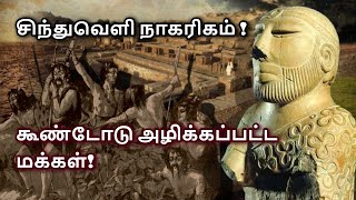 History of Harappan civilization in Tamil  Indus Valley Civilisation [upl. by Jory]