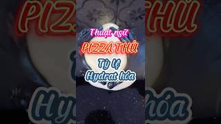 Tỷ lệ hydrat hóa trong pizza 🍕 pizza pizzaathome pizzalover pizzastyle chudangpizza [upl. by Acimak840]