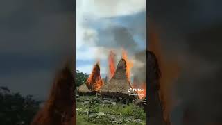 Kampung adat Manola terbakar‼️ [upl. by Tannen]