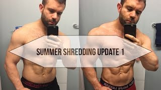 SUMMER SHREDDING UPDATE 1  MY ABS ARE POPPING OUT  MARCO LATERZA [upl. by Zeiger]