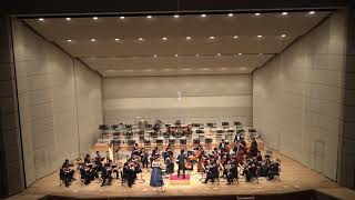 Finzi Concerto for Clarinet and String Orchestra [upl. by Ayidan]