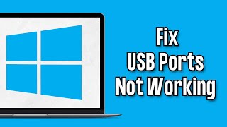 How to Fix USB Ports Not Working in Windows 1011 [upl. by Anwahsak222]