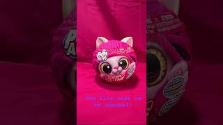 Pets Alive Interactive Smitten Kitten Plush Assortment By ZURU Unboxing amp Playthrough now live [upl. by Heda]