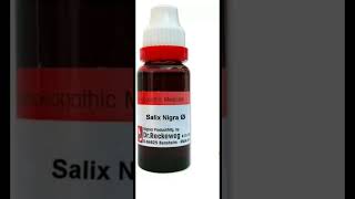 Salix nigra uses in english Effective homoeopathic medicine for male impotency spermatorrhea [upl. by Thurman]