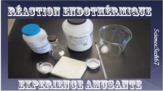 Tutoriel  Réaction endothermique expérience amusante [upl. by Ulane149]