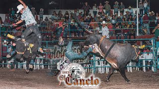 DE DONDE SACO ESTOS TOROS DECIA TRINY NAVA ATENANGO DEL RIO GUERRERO 2023 [upl. by Inwat]