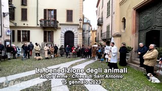 Acqui Terme  La benedizione degli animali [upl. by Nylitsirk]