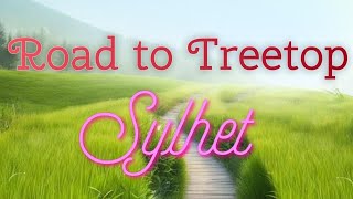 By Road to Treetop Sylhet [upl. by Gilbertine]