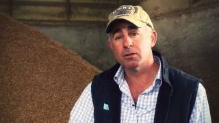 Cattle nutrition at Australian feedlots [upl. by Ised]