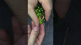 Big lure setup fishingvideo fishing fishingtips [upl. by Martita132]