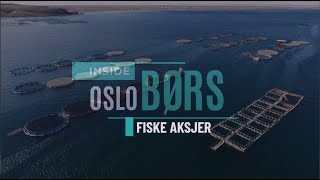 Inside Oslo Børs  FiskeSektoren  Fredag 18 okt  Teknisk Aksje Analyse [upl. by Hilary]