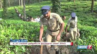 Tiger kills tea estate worker at Gudalur Nilgiris  News7 Tamil [upl. by Asilrak]