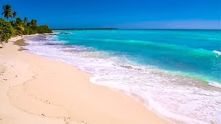 Waves on Saona Island  Relaxing Beach Sounds of the Caribbean Sea For Study Meditation and Sleep [upl. by Rutger581]