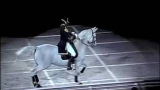 The quotWorld Famousquot Lipizzaner Stallions [upl. by Ilocin]