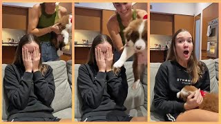 NEW PUPPY SURPRISE COMPILATION 2024  WHOLESOME SURPRISE MOMENTS [upl. by Atilal]