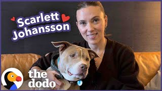 Scarlett Johansson Goes on A Dodo Dream Date  The Dodo [upl. by Revlis]