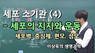 세포소기관 4세포 지지와 운동 세포벽 중심체 편모 섬모 [upl. by Apicella]