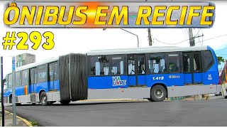 293 Centro do Recife  Ponte Buarque de Macedo  Movimentação de ônibus [upl. by Armin]