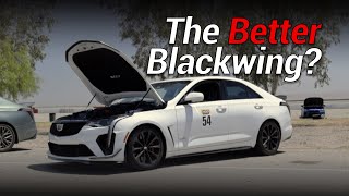 Cadillac CT4V Blackwing Review on Track  Buttonwillow Raceway [upl. by Einnob225]