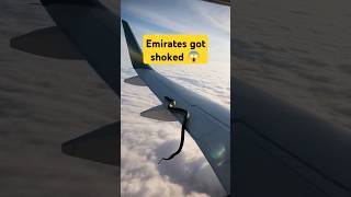 Emirates witnessed unreal event 😱  python attack  python snake shorts [upl. by Durware]