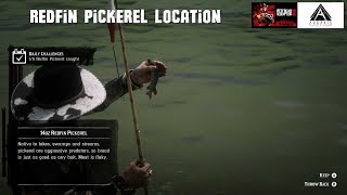 Red Dead Redemption 2 Redfin Pickerel Location arrakisstudio rdr2 xbox rdrgameplay [upl. by Ailen]