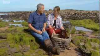 BBC Landward visits Mara Seaweed [upl. by Avenej468]