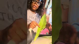 Cleaning my Mullein leaf plant for tea [upl. by Suhail113]