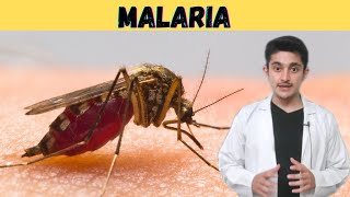 Malaria fever 3d animation  plasmodium life cycle  causes symptoms prevention  class 12 biology [upl. by Vacla]