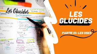 📣 Biochimie 1 Révision DES GLUCIDES PARTIE 01  Les Oses en détails👌 biologyUSTHBBIOCHIMIE [upl. by Leinnad]