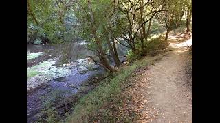 Exploring Santa Cruz The San Lorenzo River [upl. by Noirred330]