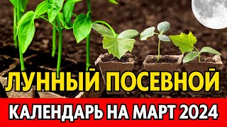 Когда сеять на рассаду в МАРТЕ 2024 Точный лунный посевной календарь на март 2024 по дням [upl. by Falito]