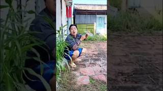 help me 😂😅😍 shortvideo funny [upl. by Nnel]