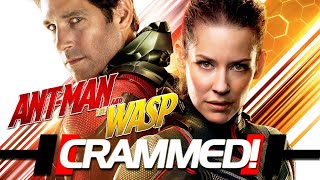 AntMan and the Wasp  ULTIMATE RECAP [upl. by Radec]