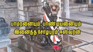 சோழபுரத்தின் quotமக்கள் ஆலயம்quot Vertical Video Tamilnadu History  Rajapalayam minutetraveller Tamil [upl. by Jaye]