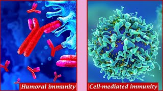 Humoral immunity and Cell mediated immunity [upl. by Zetrauq623]