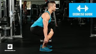 How to Dumbbell Squat  Mike Hildebrandt [upl. by Sucerdor949]