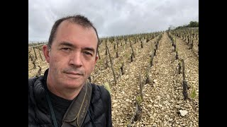 Balade Gourmande Chablis 2019 [upl. by Cayla]